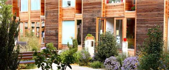 Mein alternativer Text